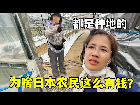 热刺力克伯,恩茅斯,英超第,世界杯赛程,2026世界杯,赛程时间,比赛城市,球队信息